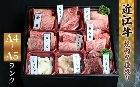近江牛 焼肉 9種 盛り合わせ 360g 冷凍 ( 近江牛 カルビ ロース ハラミ こてっちゃん てっちゃん サーロイン 希少部位2種 赤身 和牛 黒毛和牛 ブランド和牛 近江牛 牛肉 三大和牛 近江