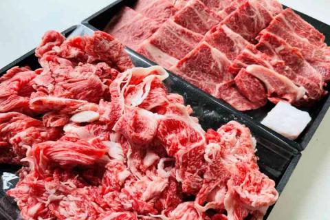 【近江牛 おうち焼肉と切落しセット 1kg】肉 牛肉 ブランド牛 三大和牛 和牛 黒毛和牛 焼肉 バーベキュー お弁当 おかず お惣菜 贈り物 ギフト プレゼント 冷凍 滋賀県 竜王