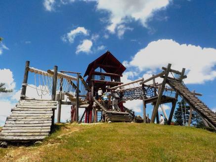 希望が丘文化公園 フィールド アスレチック 入場券 チケット 5枚 セット ( 大人チケット 3枚 / 子供チケット 2枚 )