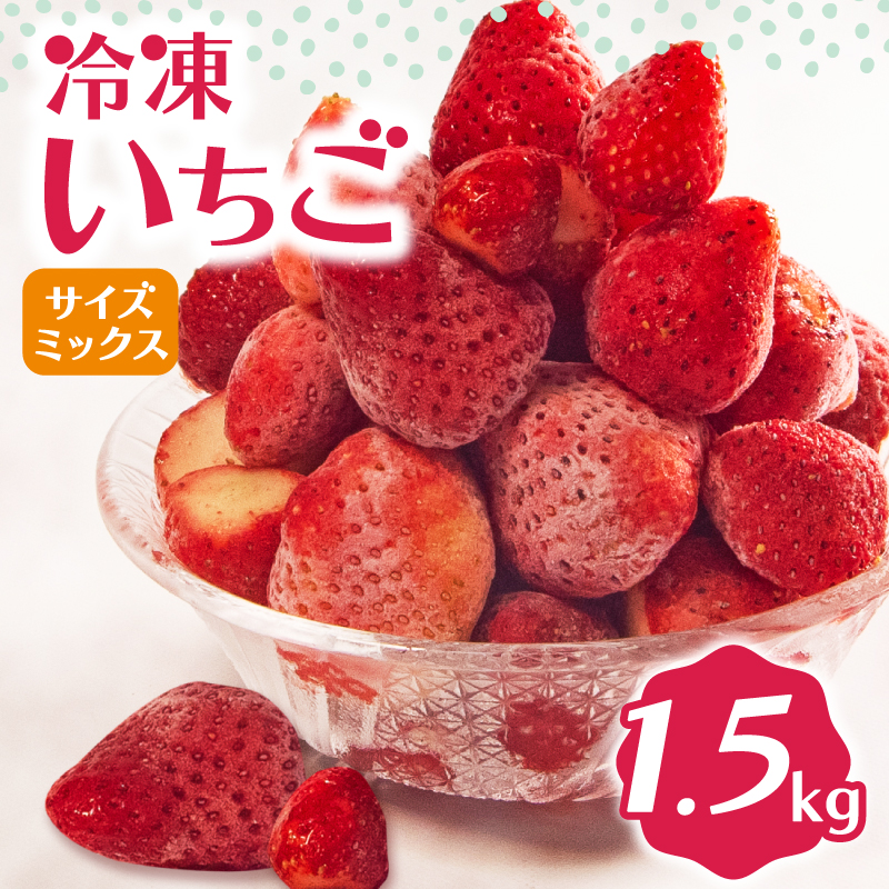 冷凍 いちご 1.5kg 完熟 ヘタ取り サイズミックス イチゴ 苺 冷凍いちご 果物 スイーツ デザート フルーツ アイス ジャム シャーベット ベリー 氷菓 甘い オススメ 人気 滋賀県 竜王町 ひさだ苺農園