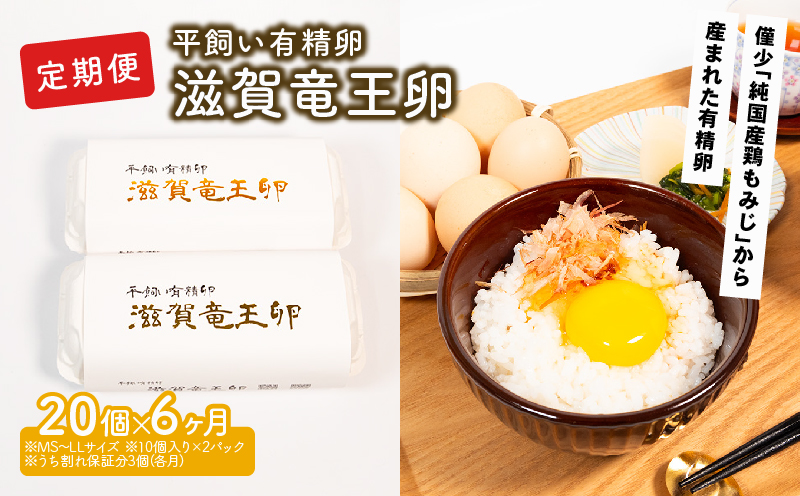 定期便 平飼い有精卵 滋賀竜王卵 20個×6ヵ月 （ 平飼い卵,高級卵,竜王町,玉子,純国産 鶏もみじ,大人気,希少,卵かけご飯,タマゴ,産地直送,卵焼き,滋賀県,竜王町,ふるさと納税 )