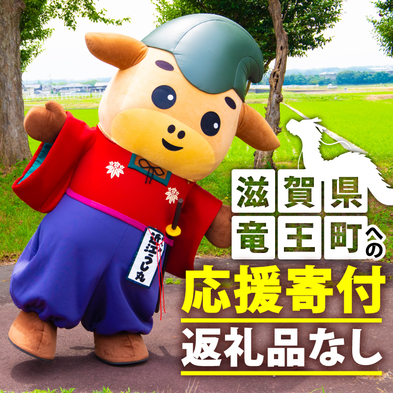 竜王町 返礼品なしの応援受付【返礼品なし/1,000円～1,000,000円】