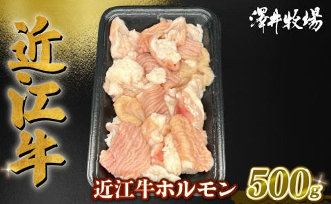 近江牛 ホルモン 500g (250g×2) ( 黒毛和牛 牛肉 肉 ギフト 焼肉 焼き肉 自宅用 高級 黒毛和牛 国産 ふるさと納税 ブランド牛 三大和牛 和牛 冷凍 贈り物 内祝い