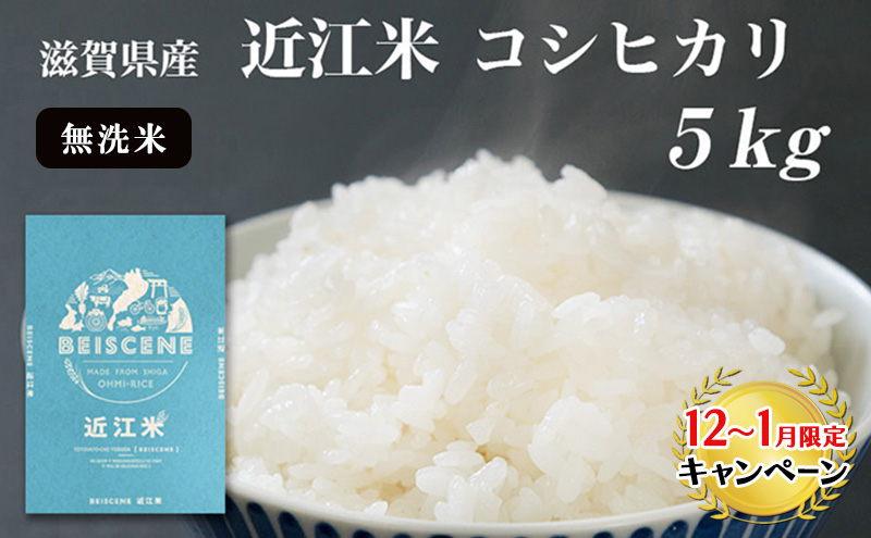 【12月～1月までの限定寄附額】 特A受賞歴 コシヒカリ 5kg 無洗米 令和7年産 米