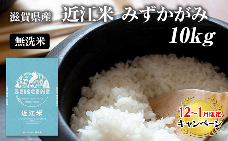 【12月～1月までの限定寄附額】 令和7年産新米 滋賀県豊郷町産　近江米 みずかがみ　無洗米　10kg お米  CP1201