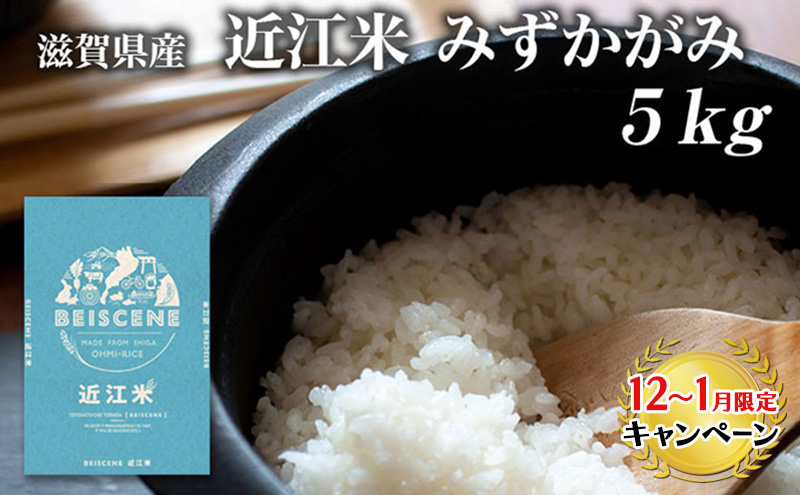 【12月～1月までの限定寄附額】 令和7年産新米　滋賀県豊郷町産　近江米 みずかがみ　5kg お米  CP1201