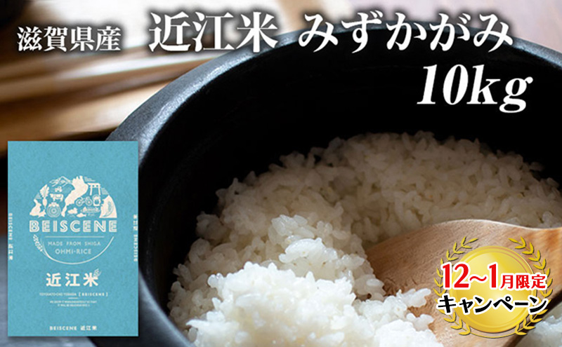 【12月～1月までの限定寄附額】 令和7年産新米　滋賀県豊郷町産　近江米 みずかがみ　10kg お米  CP1201