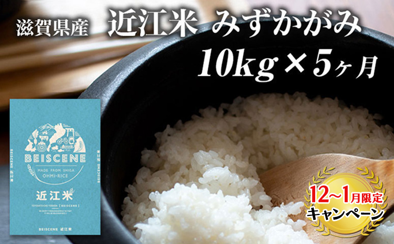 【12月～1月までの限定寄附額】 【定期便】令和7年産新米　滋賀県豊郷町産　近江米 みずかがみ　10kg×5ヶ月 お米 白米 ごはん ライス 主食 炭水化物 おにぎり  CP1201