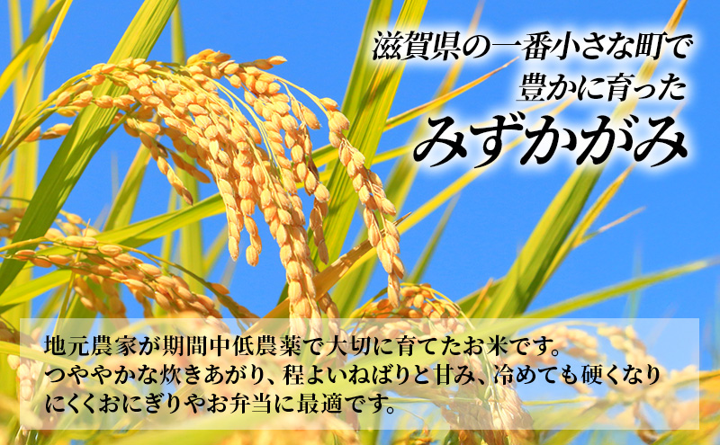 【12月～1月までの限定寄附額】 【定期便】令和7年産新米　滋賀県豊郷町産　近江米 みずかがみ　無洗米　5kg×10ヶ月 お米  CP1201
