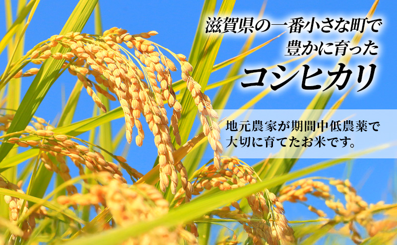 【12月～1月までの限定寄附額】 特A受賞歴 定期便 コシヒカリ 5kg×5ヶ月 令和7年産 滋賀県豊郷町産 近江米 お米 白米 ごはん ライス 主食 炭水化物 おにぎり CP1201