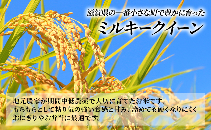 【12月～1月までの限定寄附額】 【定期便】令和7年産新米　滋賀県豊郷町産　近江米 ミルキークイーン（無洗米）5kg×10ヶ月 お米 白米 ごはん ライス 主食 炭水化物 おにぎり  CP1201