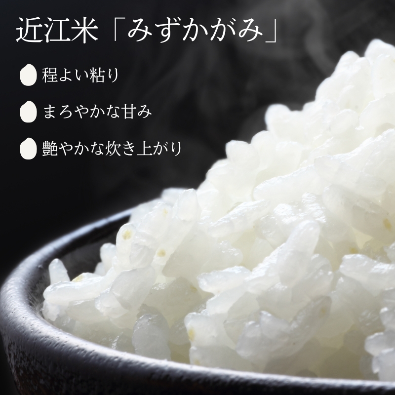 【12月～1月までの限定寄附額】 令和7年産みずかがみ　無洗米（環境こだわり栽培米）10kg お米  CP1201