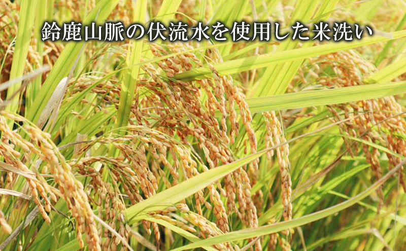 近江地酒の季節限定酒！金亀しぼりたて　生原酒　720ml　お酒 日本酒 純米吟醸