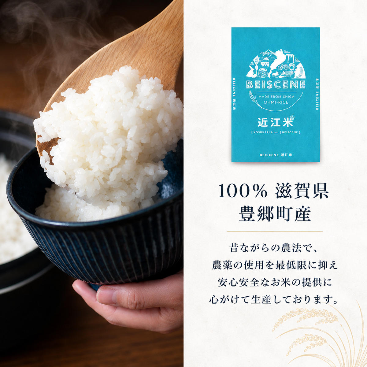 【令和8年産】新米 先行予約 米 定期便 ミルキークイーン