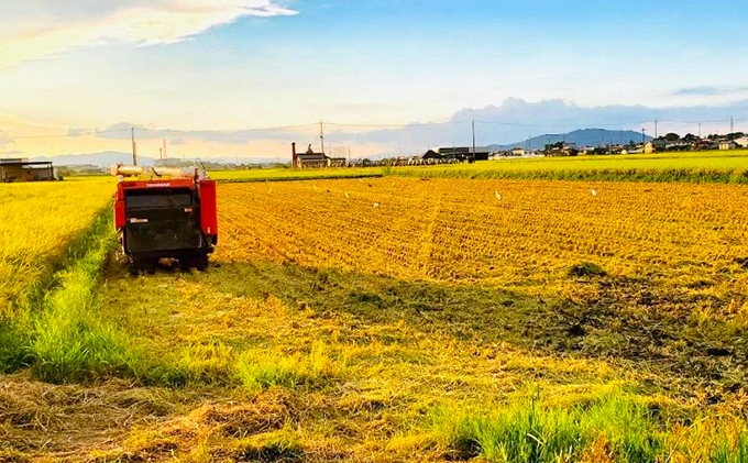 【12月～1月までの限定寄附額】 【最短７営業日以内で発送】米 ミルキークイーン 5kg 無洗米 令和7年新米 田中さんちのおいしいお米C お米 こめ コメ おこめ 白米 スピード配送 CP1201