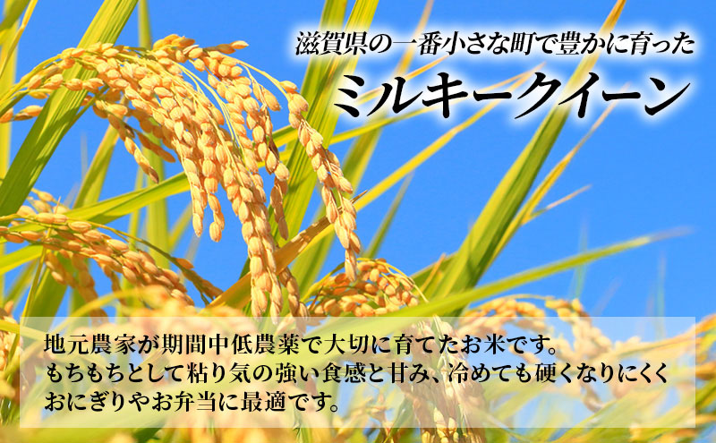定期便 10kg×2ヶ月 ミルキークイーン 令和7年産 滋賀県豊郷町産 近江米 お米 白米 ごはん ライス 主食 炭水化物 おにぎり 米 定期 2回