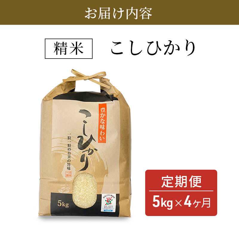 【定期便】令和7年産　豊かな郷の近江米（コシヒカリ）5kg×4ヶ月連続 お米 4回 箱入り