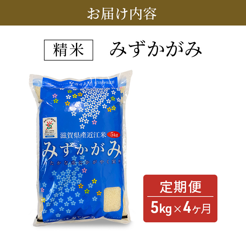 【定期便】令和7年産　豊かな郷の近江米（みずかがみ）5kg×4ヶ月連続 お米 4回 箱入り