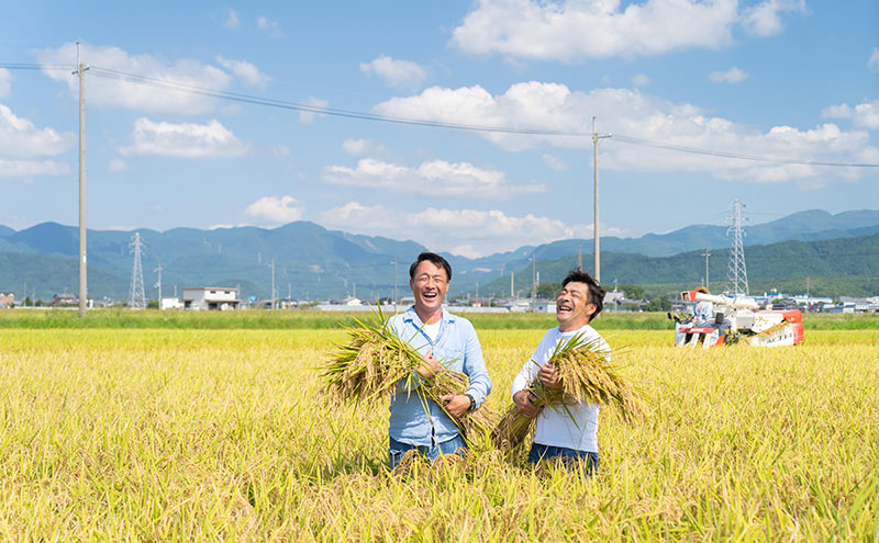 定期便 5kg×3ヶ月 ミルキークイーン 令和7年産 滋賀県豊郷町産 近江米 お米 白米 ごはん ライス 主食 炭水化物 おにぎり 米 定期 3回