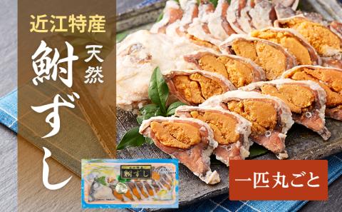 天然ニゴロブナふなずし1匹　スライス