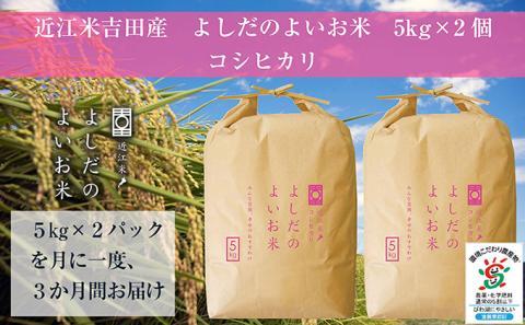 【定期便】令和6年産　よしだのよいお米近江米コシヒカリ　10kg×3回