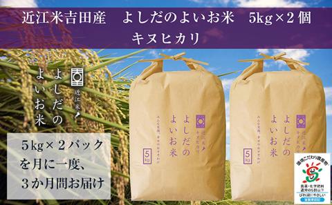 【定期便】令和6年産　よしだのよいお米 近江米キヌヒカリ　10kg×3回