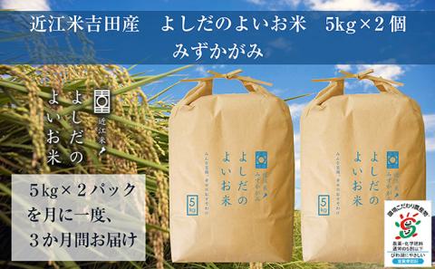 【定期便】米 定期便 3ヶ月 近江米 みずかがみ 10kg 令和6年 よしだのよいお米 お米 こめ コメ おこめ 白米 3回 お楽しみ