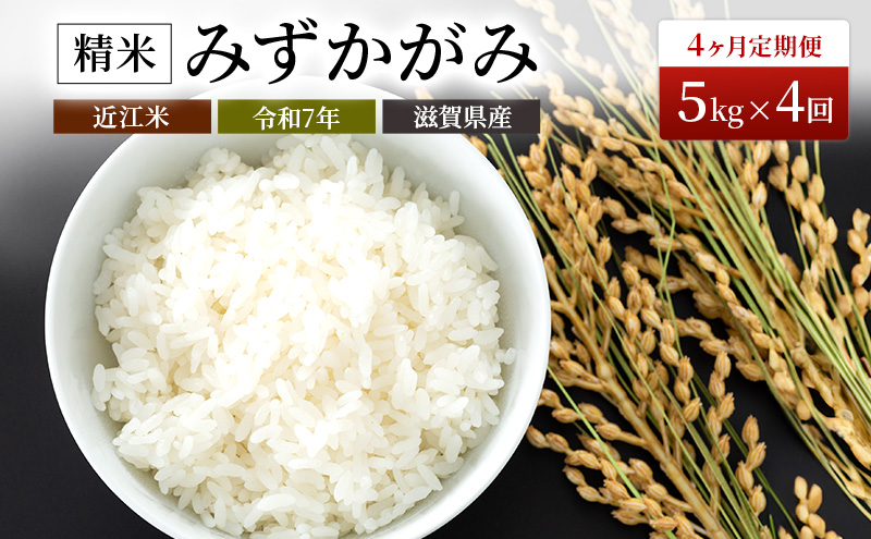【定期便】令和7年産　豊かな郷の近江米（みずかがみ）5kg×4ヶ月連続 お米 4回 箱入り