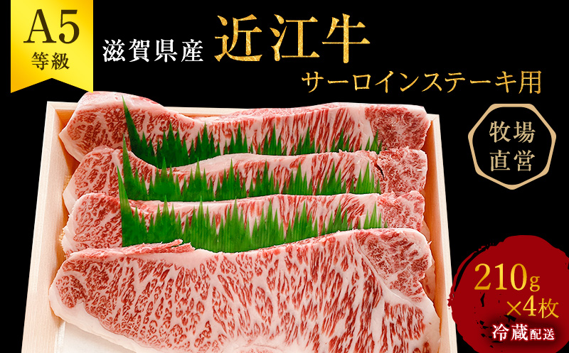【近江牛 西川畜産】A5ランク雌牛　サーロインステーキ用　約210g×4枚