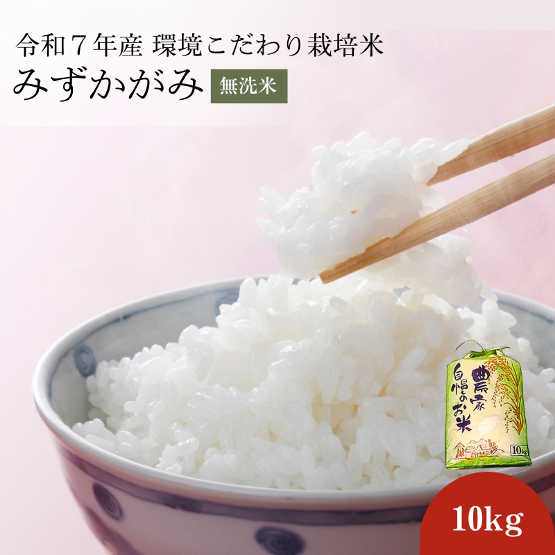 特A受賞歴 お米 10kg みずかがみ 無洗米 令和7年産 環境こだわり栽培米 近江米 米 コメ こめ 滋賀 豊郷