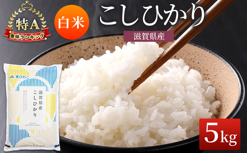 コシヒカリ 白米 5kg　米 コメ お米 こめ 精米 こしひかり 滋賀県 豊郷町