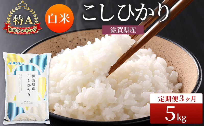 コシヒカリ 白米 5kg 定期 3回　米 コメ お米 こめ 精米 こしひかり 滋賀県 豊郷町