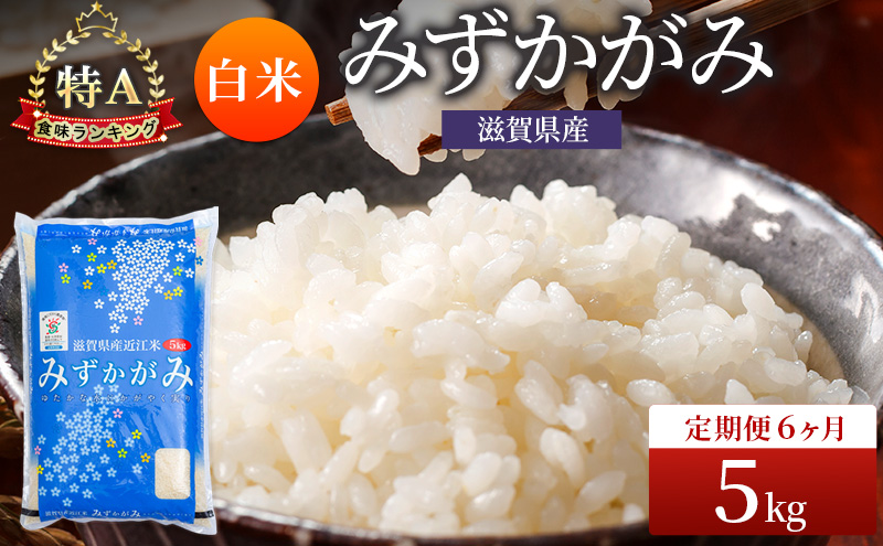 みずかがみ 白米 5kg 定期 6回　米 コメ お米 こめ 精米 ミズカガミ 滋賀県 豊郷町