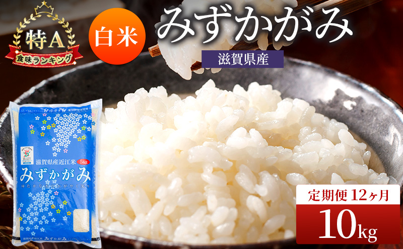 みずかがみ 白米 10kg 定期 12回　米 コメ お米 こめ 精米 ミズカガミ 滋賀県 豊郷町