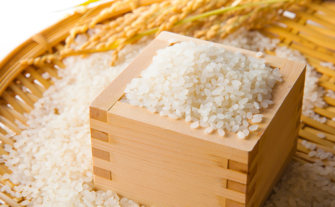 令和6年環境こだわり近江米縁結び5kg（無洗米）