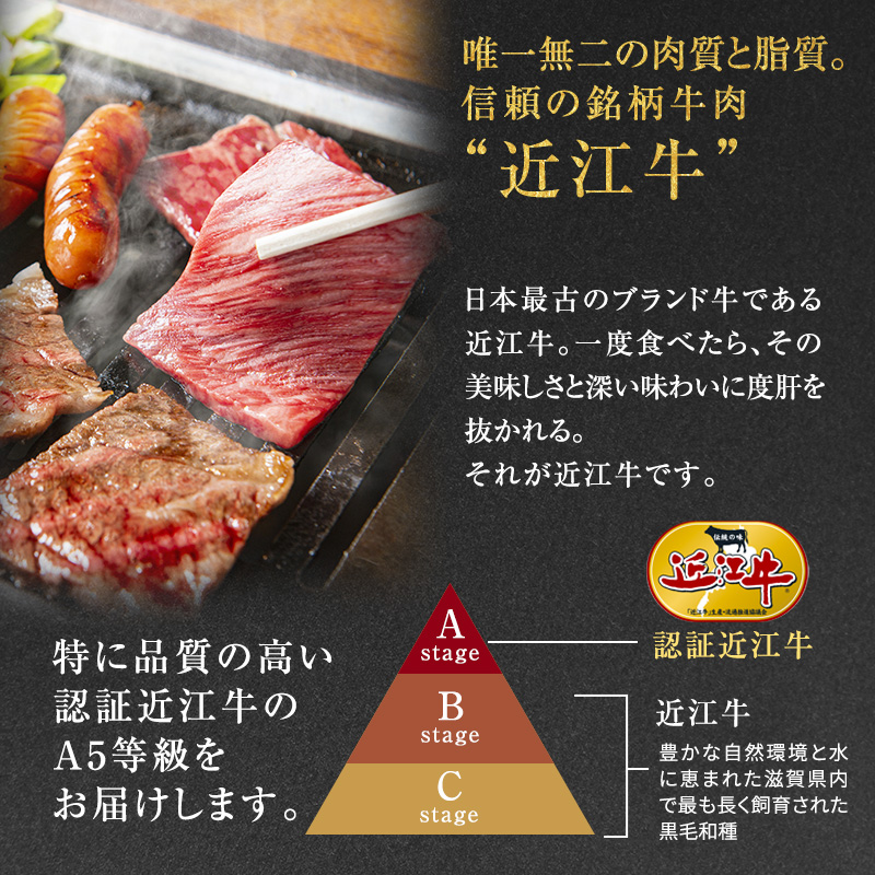 近江牛 西川畜産 A5ランク リブロース 約500g 焼肉用 雌牛 ふるさと納税 お肉 ブランド牛　和牛　黒毛和牛　日本三大和牛　滋賀県