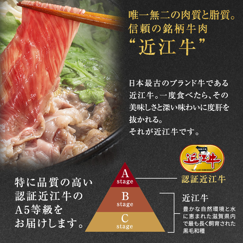 近江牛 西川畜産 A5ランク サーロイン 約500g すき焼き しゃぶしゃぶ用 雌牛 ふるさと納税 お肉 ブランド牛　和牛　黒毛和牛　日本三大和牛　滋賀県