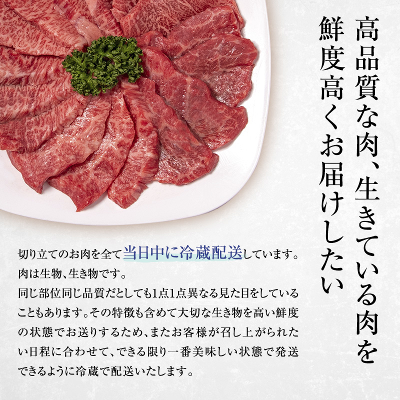 近江牛 西川畜産 A5ランク サーロイン 約500g 短冊焼肉用 雌牛 ふるさと納税 お肉 ブランド牛　和牛　黒毛和牛　日本三大和牛　滋賀県