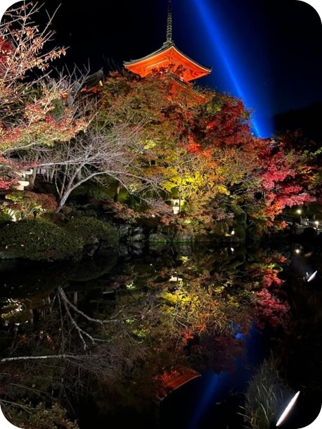 【30名限定！】執事 森清顕氏と巡る清水寺夜間貸切拝観（秋季）＋高僧の揮毫色紙　※寄附金は文化財保護に使途を限定しています。