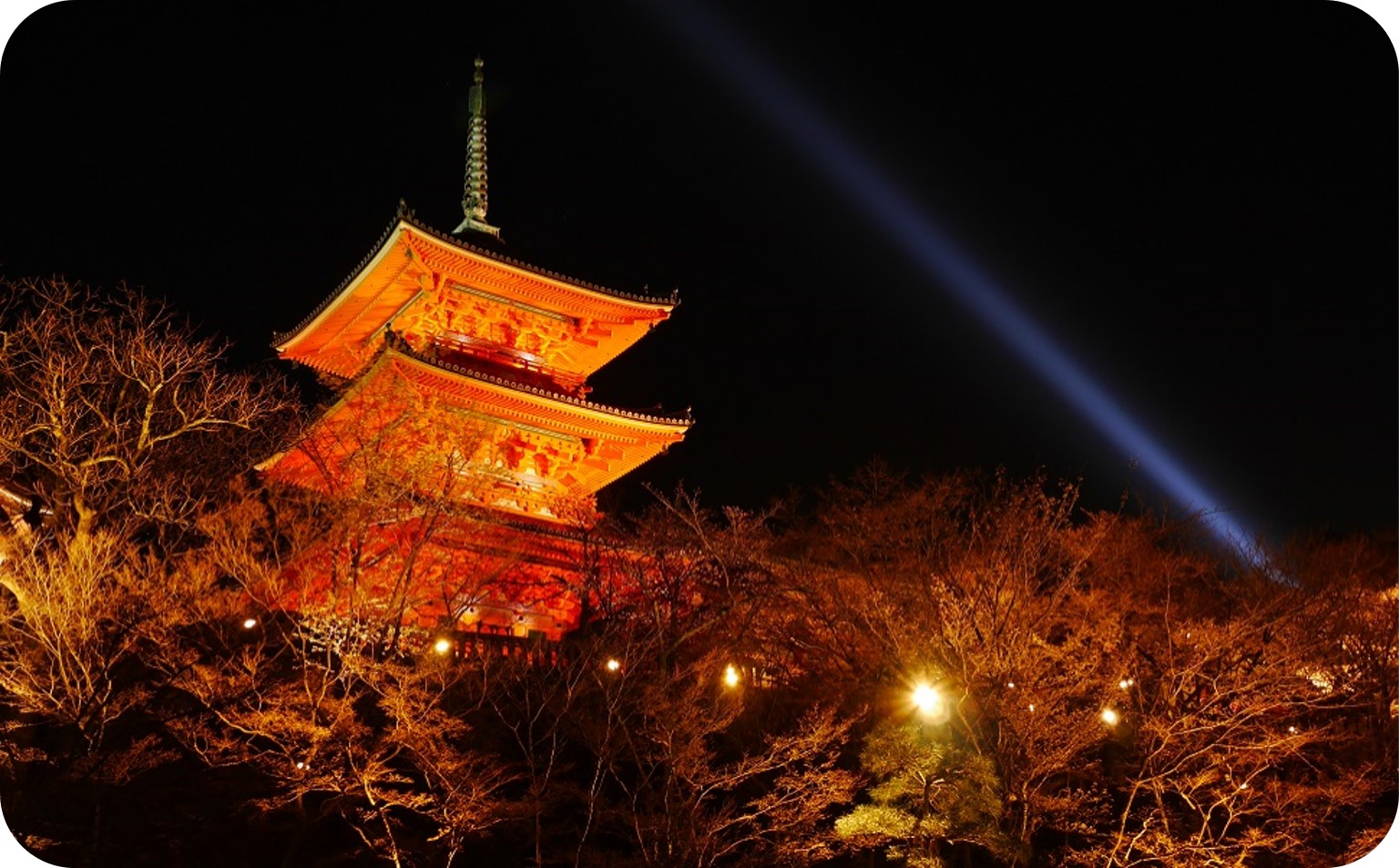 【30名限定！】執事 森清顕氏と巡る清水寺夜間貸切拝観（春・３月）　※寄附金は文化財保護に使途を限定しています。