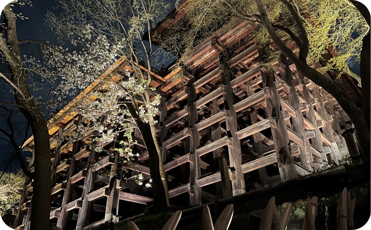 【30名限定！】執事 森清顕氏と巡る清水寺夜間貸切拝観（春・３月）　※寄附金は文化財保護に使途を限定しています。