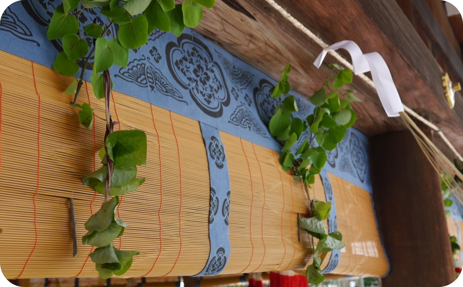 「フタバアオイオーナー・葵祭特別観覧」＋高僧の揮毫色紙　※寄附金は文化財保護に使途を限定しています。