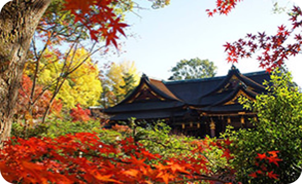 神職様のご案内による北野天満宮境内文化財見学と錦秋のもみじ苑特別観覧＋高僧の揮毫色紙 　※寄附金は文化財保護に使途を限定しています。