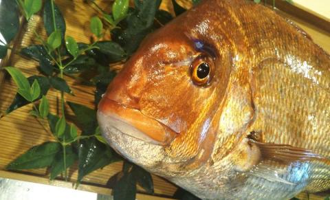 【日月房 旦】汐鯛めしキット　三合(３～４名用)