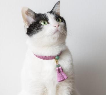 【中野伊助】ねこのわ HEIAN（猫用首輪＆飼い主用ピアス）