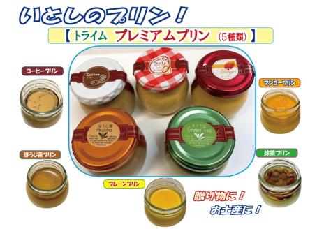 【トライム】プレミアムプリン（いとしのプリン）12個入り