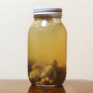 【野田屋】すっぽん鍋