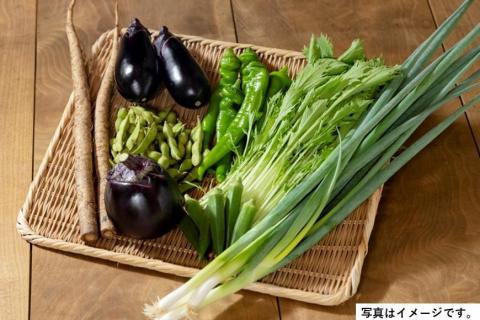 ＜6回　定期便＞【JA全農京都】２か月に１回配送！季節の京野菜セット