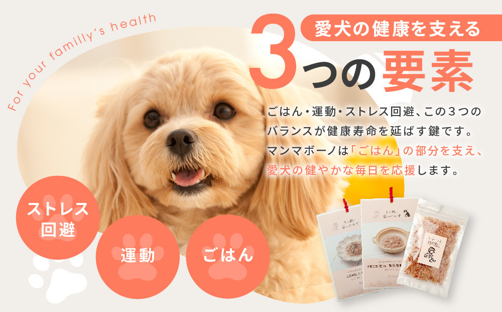 【MANMA BUONO】犬の手作りごはん お試しBセット5種｜京都 ペットフード ブランド 有名 人気ペットフード［ 愛犬の健康を支える ペーットフード 5種 人気セット こだわり 美味しい 栄養 ごはん 食事 人気 おすすめ お取り寄せ 通販 送料無料 ふるさと納税 ］