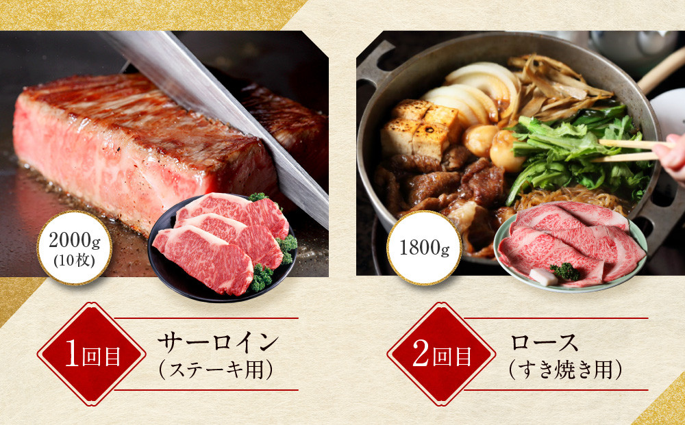 ＜定期便６回＞【京都モリタ屋】京都肉食べ比べ(3)［ 明治2年創業 京都初 牛肉専門店 有名店 高品質 和牛 切り落とし 人気 おすすめ グルメ お肉 牛肉 ブランド牛 京都肉 お取り寄せ 通販 送料無料 ふるさと納税 ］  